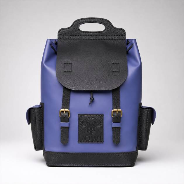 The Explorer Backpack